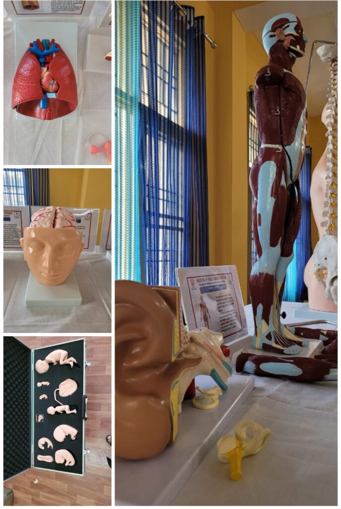 IPHH is the top nursing and Pharmacy college with excellent labs facilities. 