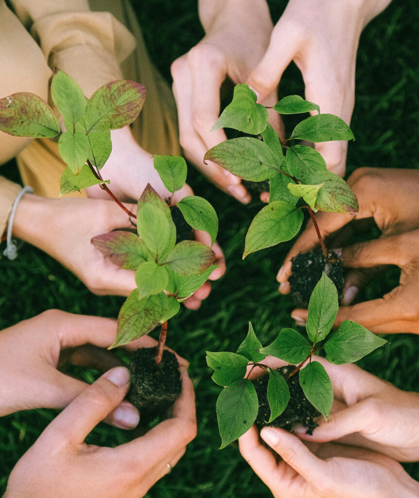 Best Nursing College in Jammu Environmental Policy